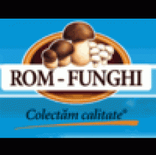 ROM FUNGHI SRL