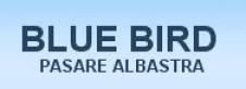  BLUE BIRD PASARE ALBASTRA SRL