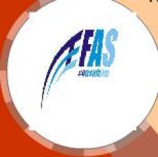 EFAS CONSULTING SRL