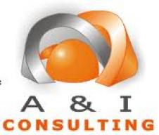  S.C. A&I CONSULTING S.R.L. BACAU
