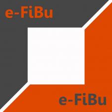 E-FIBU