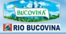 RIO BUCOVINA SRL