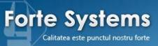  FORTE SYSTEMS SRL