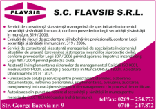 FLAVSIB S.R.L. - Consultanta P.S.I. si securitatea si sanatatea muncii