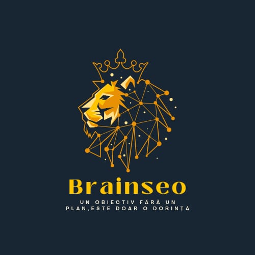 BRAINSEO S.R.L
