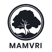 FAGHIURA GEORGE-VALENTIN ÎNTREPRINDERE INDIVIDUALĂ