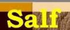 SALF SRL