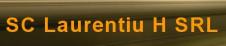 LAURENTIU H SRL