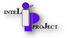 INTEL PROJECT SRL