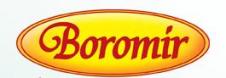 BOROMIR IND SRL