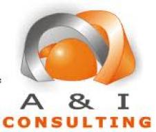 S.C. A&I CONSULTING S.R.L. BACAU