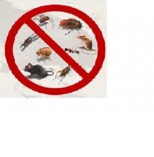 Servicii D.D.D. deratizare/dezinsectie/dezinfectie