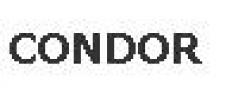CONDOR 