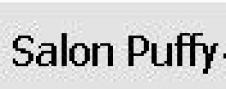 Salonul Puffy