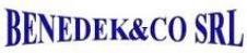 BENEDEK & CO