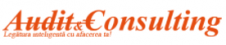 Audit&Consulting