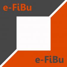 E-FIBU