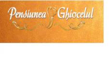PENSIUNEA GHIOCELUL