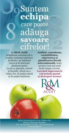 R&M AUDIT S.R.L.
