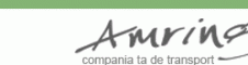 AMRING S.R.L. - Transport persoane
