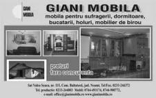 Giani Mobila S.R.L.