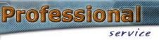 PROFESSIONAL SERVICE SRL
