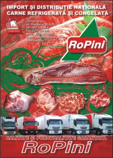 ROPINI SRL