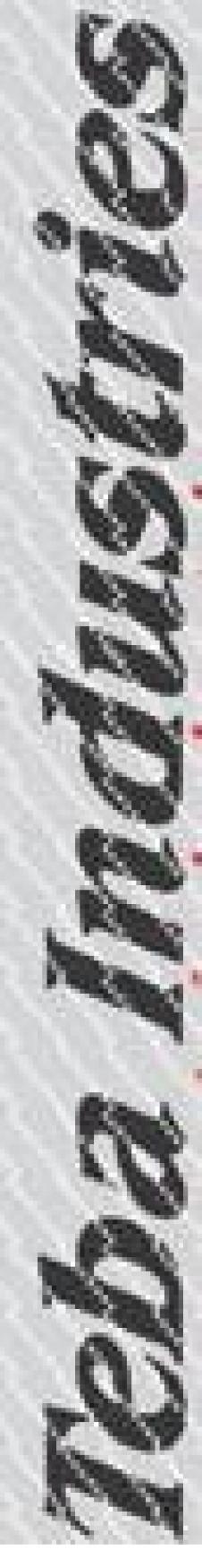 TEBA IASI INDUSTRY SA