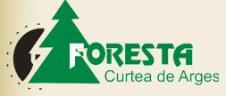 CURTEA DE ARGES FORESTA SA