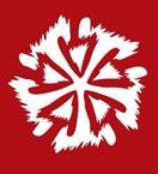 DIANTHUS COMPANY SRL