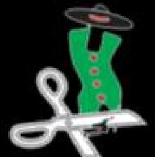 FRANCESCA INDUSTRIES SA