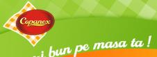 COPANEX SRL