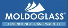 MOLDOGLASS SRL