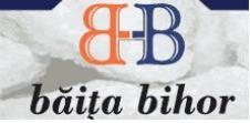 S.C. BAITA BIHOR S.A.