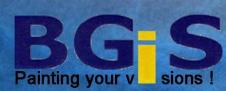 BGIS SRL