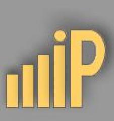 INTERNATIONAL PLATING SRL