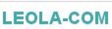 LEOLA COM SRL