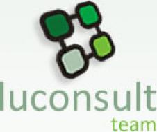 Luconsult Team  S.R.L.