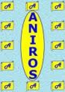 ANIROS COMP SRL