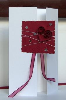 Asiris Solutions S.R.L.