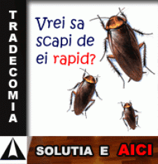 TRADECOMIA S.R.L.