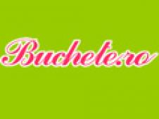 AVANTE CONSULTING TEAM S.R.L.