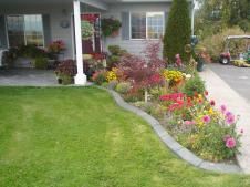 CaRomTex Decor S.R.L.