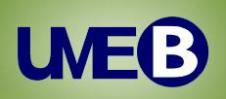 UMEB SA