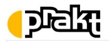 PRAKT SRL