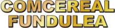 COMCEREAL FUNDULEA SA