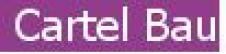 CARTEL BAU SA
