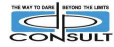 D P CONSULT SA