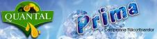 QUANTAL PRIMA SRL