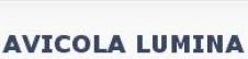 AVICOLA LUMINA SA
